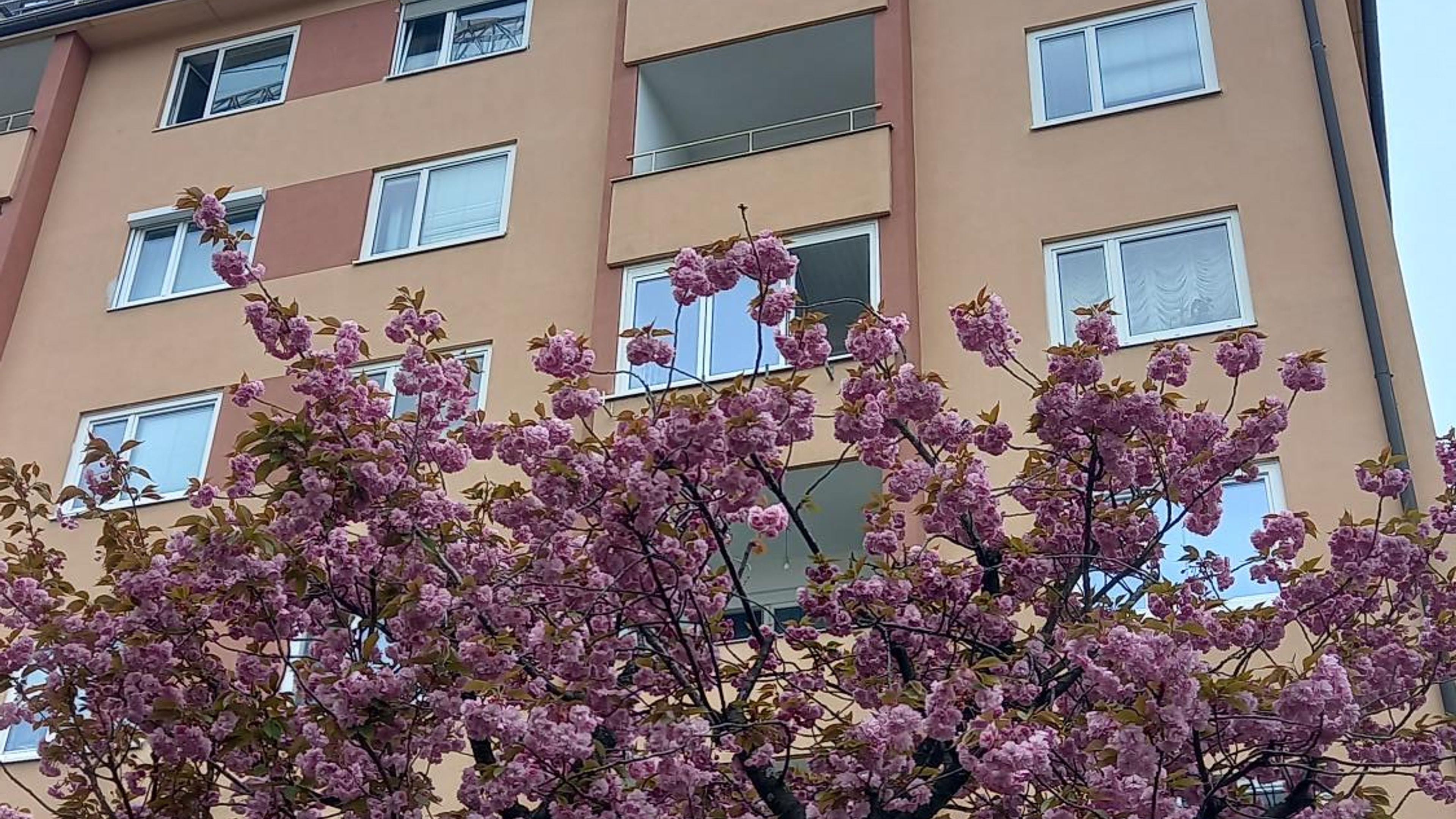 Image slide